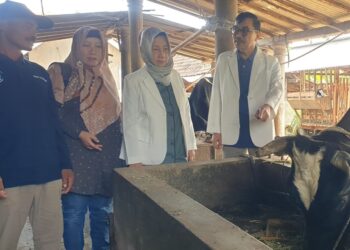 Dosen FKH Unair Gelar Pengmas, Pulihkan Reproduksi Sapi Perah di Desa Beringin Kabupaten Malang