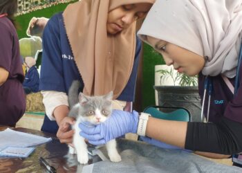 BBIB Singosari Rayakan Ulang Tahun ke-43 Dengan Rangkaian Acara Meriah dan Edukatif