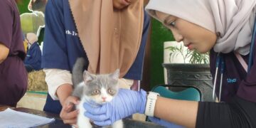 BBIB Singosari Rayakan Ulang Tahun ke-43 Dengan Rangkaian Acara Meriah dan Edukatif