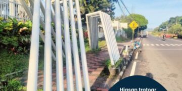 Komisi C Bersama PPA_BIRR, Sikapi Penebangan Pohon dan Asesoris Taman Trotoar Jalan