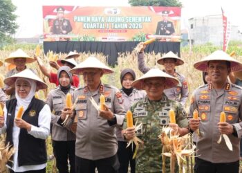 Polda Jatim Gelar Panen Raya Jagung Kuartal I 2026 di Sidoarjo