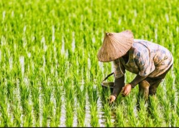 Bapenda Kota Malang Beri Keringanan PBB Bagi Petani, Pengajuan Dibuka Sepanjang Tahun