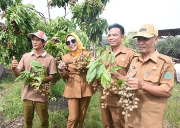 Wabup Sidoarjo Apresiasi Keberadaan Wisata Petik Buah Klengkeng