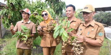 Wabup Sidoarjo Apresiasi Keberadaan Wisata Petik Buah Klengkeng