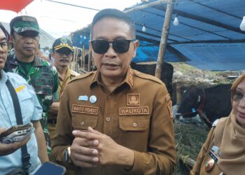 Jelang Iduladha 1447 H, Pemkot Malang Pastikan Hewan Kurban Sehat, Permintaan Sapi Meningkat