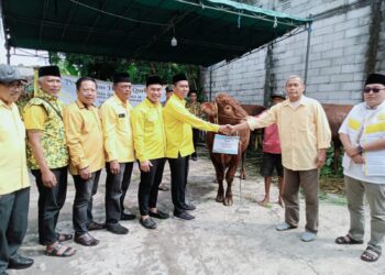 Golkar Kota Malang Tebar Kepedulian di Idul Adha 1447 H, Sembelih 4 Sapi dan 5 Kambing