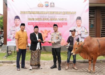 Idul Adha 2026, Polresta Sidoarjo Salurkan 100 Hewan Kurban