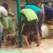Sambut Idul Adha 1447 H, Masjid Agung Sidoarjo Bagikan Ratusan Daging Kurban dari 9 Sapi dan 4 Kambing