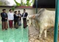 Bupati Sidoarjo Salurkan Hewan Qurban Bantuan Presiden di Alika ke Wilayah Pinggiran Jabon.