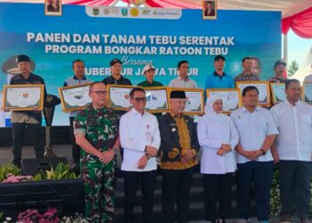 Program Bongkar Ratoon Tebu Digenjot di Malang, Perkuat Produktivitas Menuju Swasembada Gula Nasional