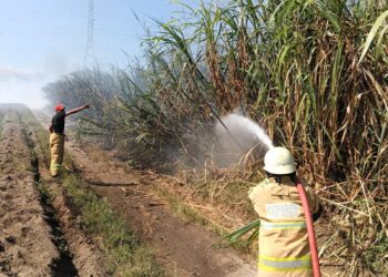 Kebakaran Lahan Tebu di Kediri Diduga Akibat Pembakaran Sisa Daun
