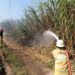 Kebakaran Lahan Tebu di Kediri Diduga Akibat Pembakaran Sisa Daun