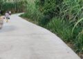 Pembangunan Jalan Bandungrejo – Srigonco di Bantur Rampung 