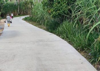 Pembangunan Jalan Bandungrejo – Srigonco di Bantur Rampung 