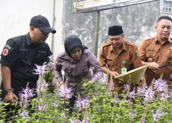 Wabup Sidoarjo Dorong Desa Wonokupang Jadi Sentra Herbal, Apresiasi UMKM Teh Daun Kumis Kucing.
