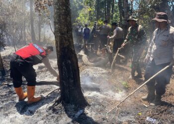 Kebakaran Hutan Melanda Kawasan Gunung Buthak, Jalur Pendakian Ditutup Sementara