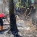 Kebakaran Hutan Melanda Kawasan Gunung Buthak, Jalur Pendakian Ditutup Sementara