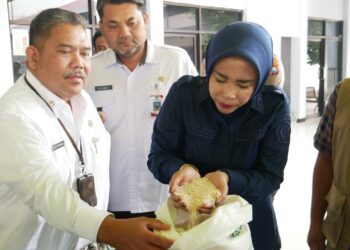 Wabup Sidoarjo Salurkan Beras untuk 1.239 Warga, Ingatkan Bantuan Tidak Boleh Dijual.