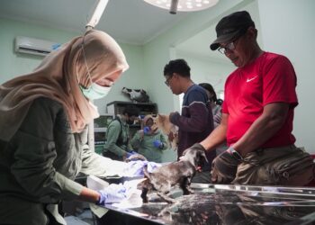 Waspada Rabies, Sidoarjo Perkuat Perlindungan Hewan Peliharaan.
