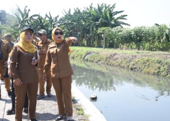 Normalisasi Dikebut Jelang Musim Hujan, Pemkab Sidoarjo Soroti Limbah Industri.